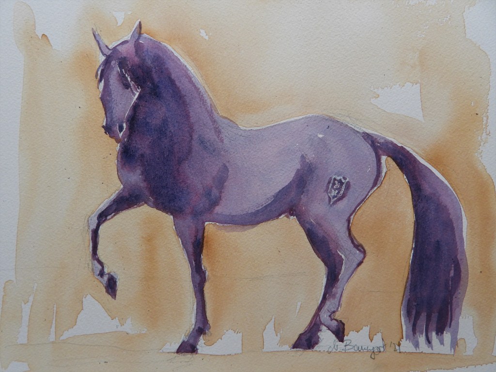 Andalusisches Pferd - Aquarelle von Nadia Baumgart