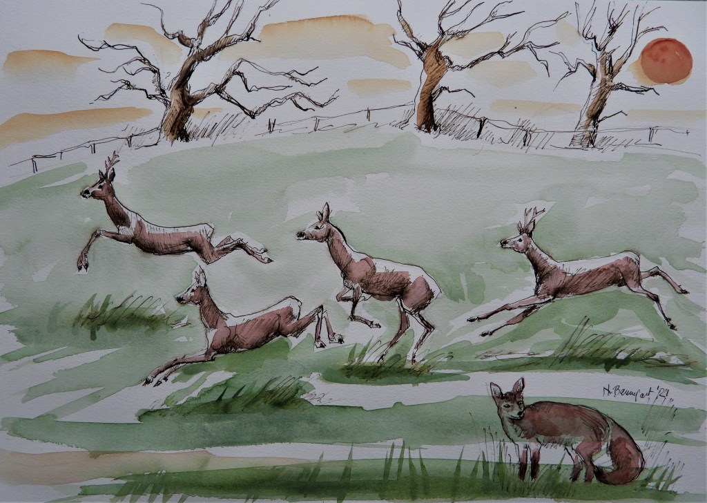 Kunst von Nadia Baumgart