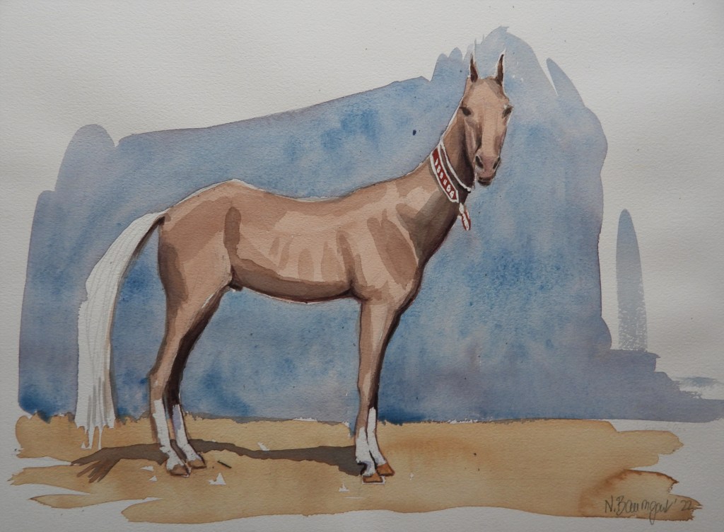 Achal-Tekkiner Pferd Tierportrait