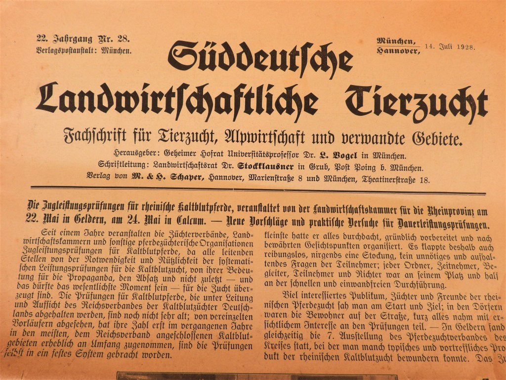 Alte Zeitungen - Bericht über Eier-Import 1928