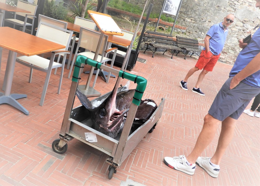 Pesce spada a Laigueglia