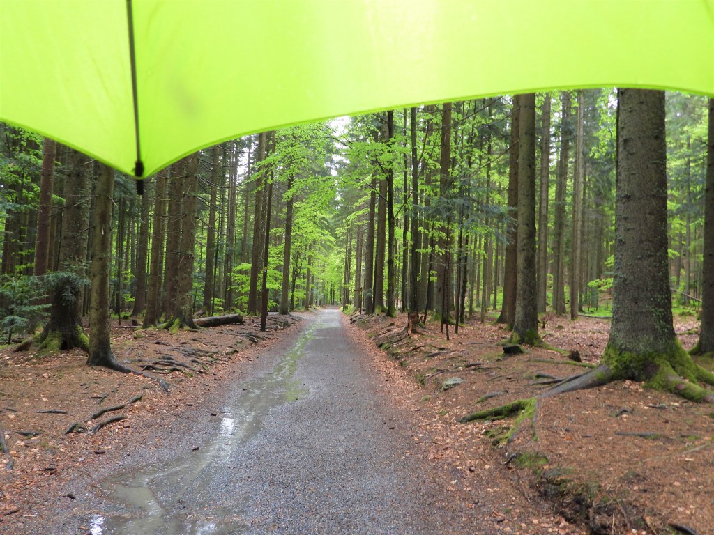 Tier-Freigelände Neuschönau