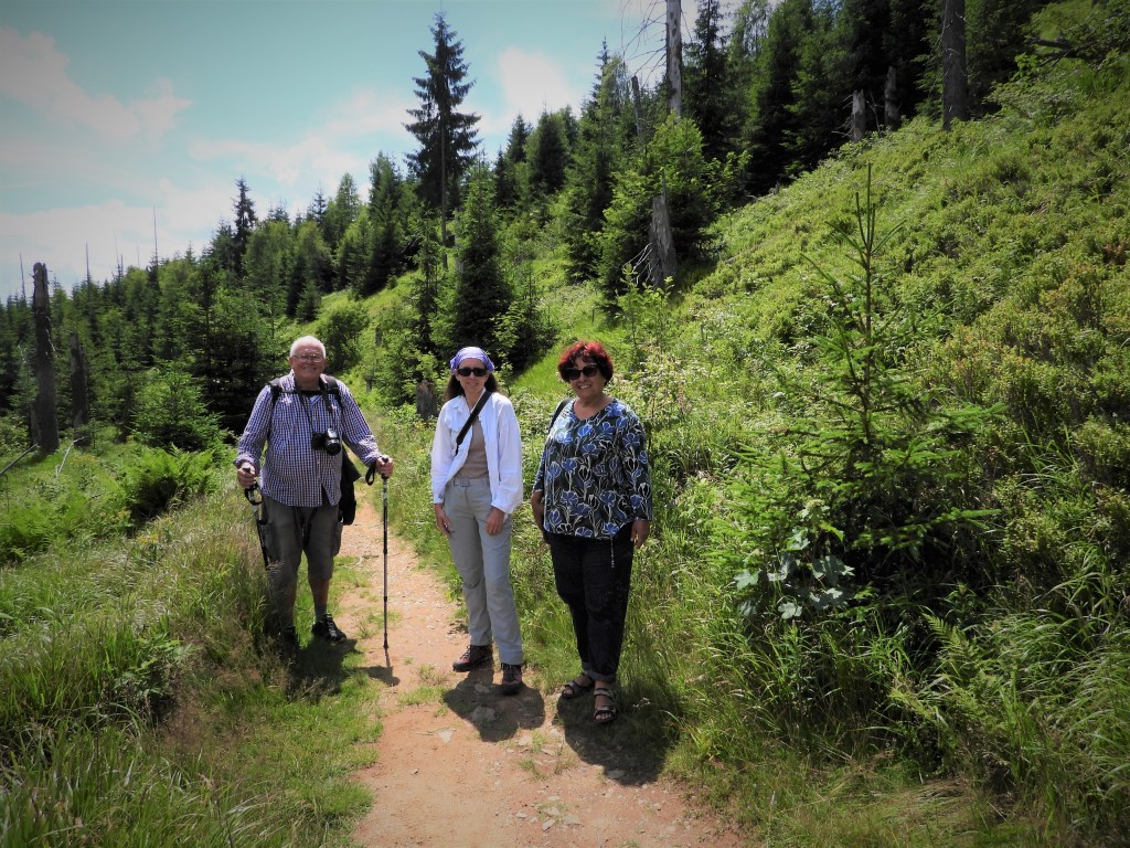 Unterwegs im Nationalpark Bayerischer Wald