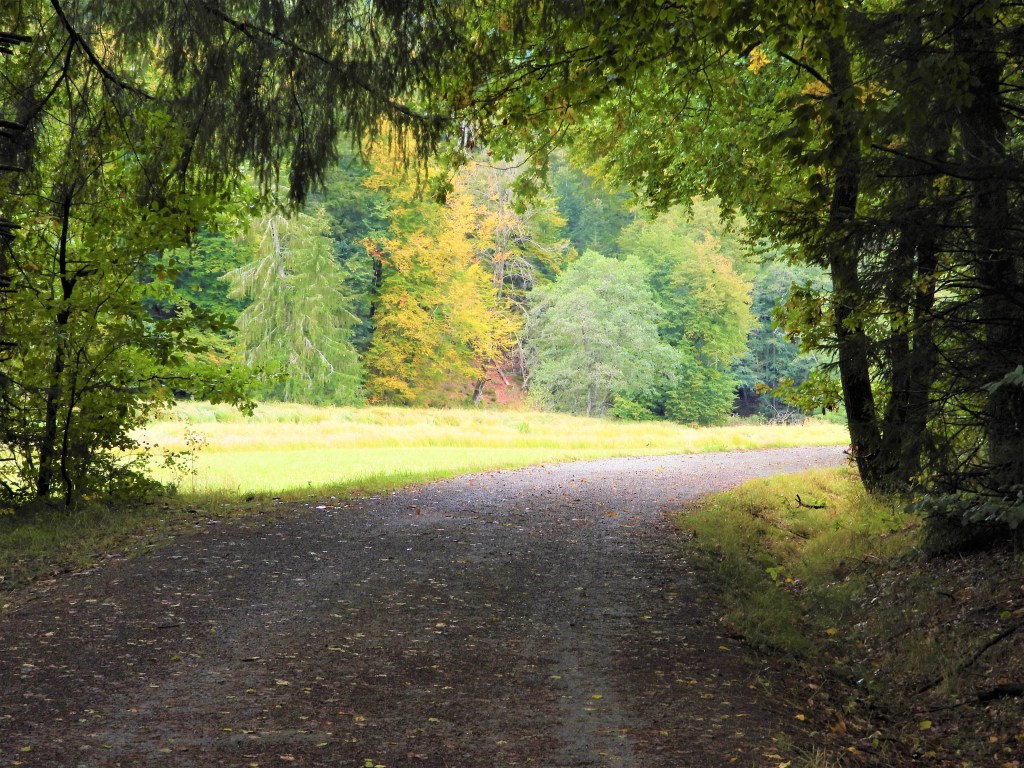 Romantische Natur im Herbst