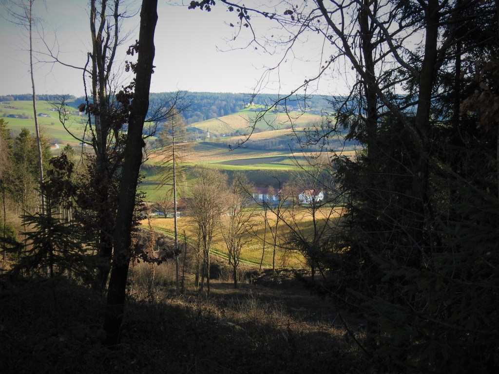 Rottaler Hügellandschaft