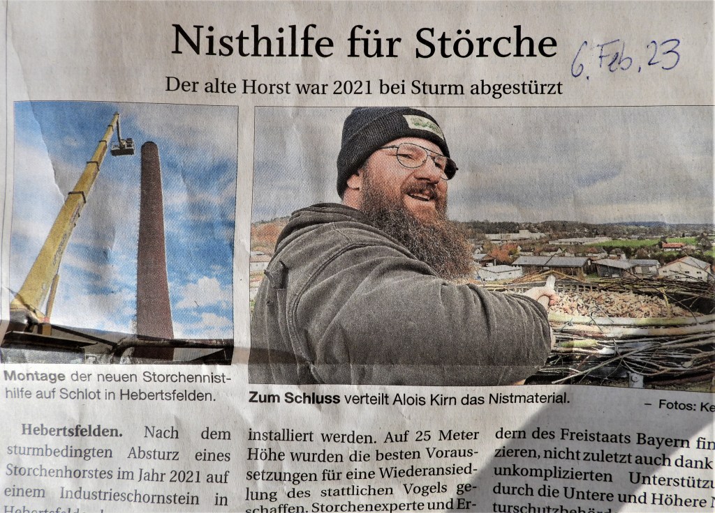 Nisthilfe für Störche