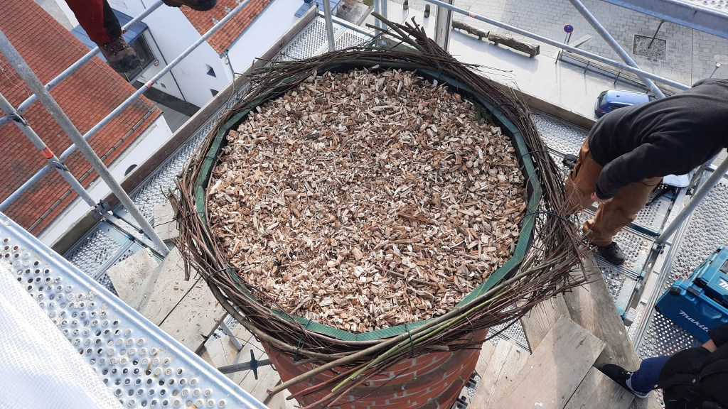 Storchen-Nisthilfe in Eggenfelden