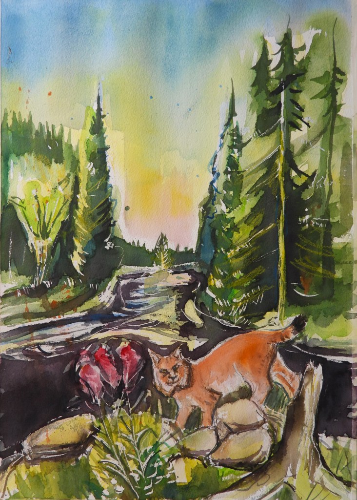 Aquarelle - Luchs - Böhmerwald