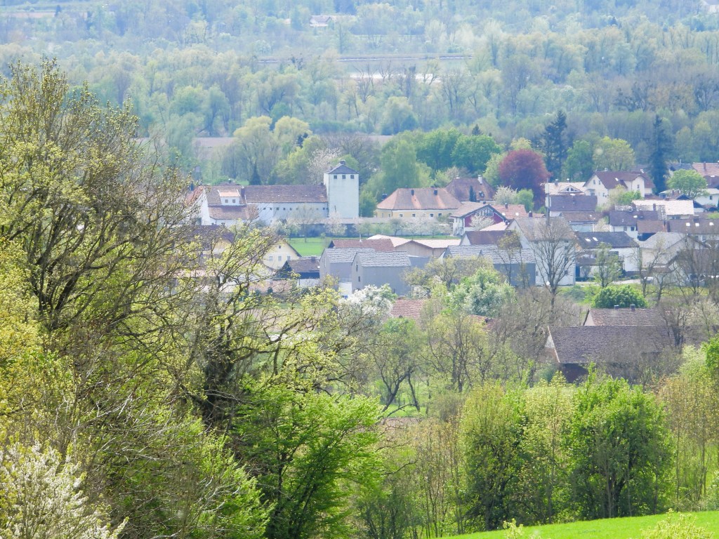 Blick auf ein kleines Dorf umgeben von saftig grünem Laubwald und Bäumen, mit Häusern und einem auffälligen, weißen Turm im Hintergrund.