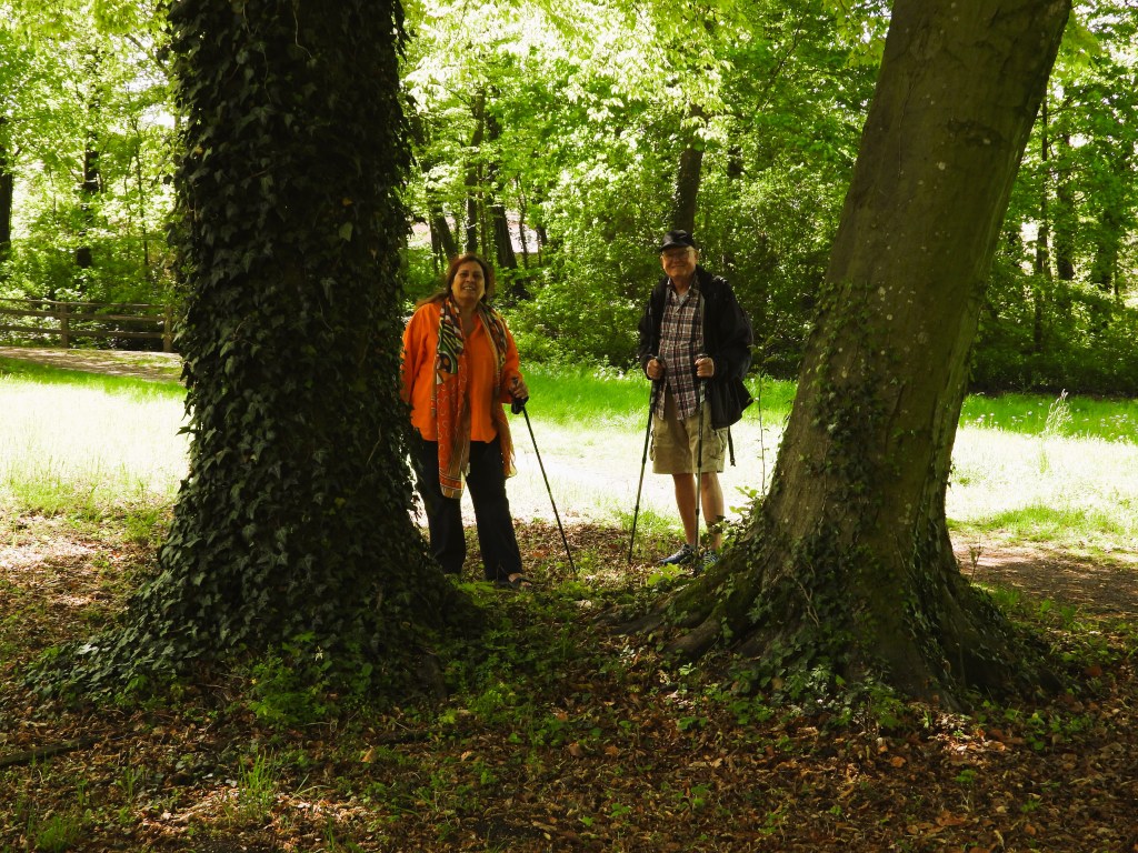 Zwei Personen stehen zwischen zwei Bäumen in einem grünen Park, umgeben von üppigem Laubwerk. Eine Person trägt eine orangefarbige Jacke und die andere einen schwarzen Mantel. Beide haben Wanderstöcke in der Hand.