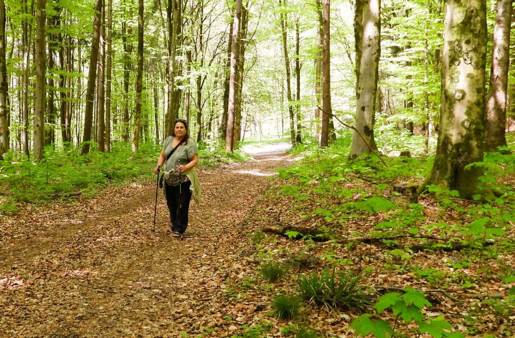 Eine Person wandert auf einem Weg durch einen grünen Wald, umgeben von Bäumen und frischem Blattwerk.