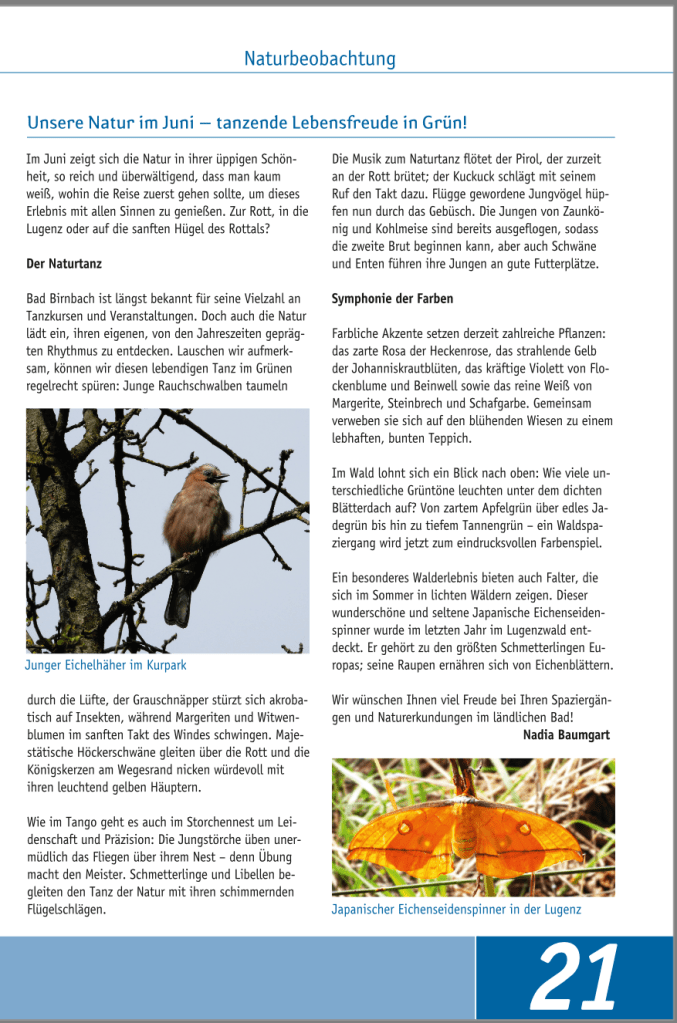 Ein junges Eichhörnchen sitzt auf einem Ast und blickt aufmerksam in die Umgebung.