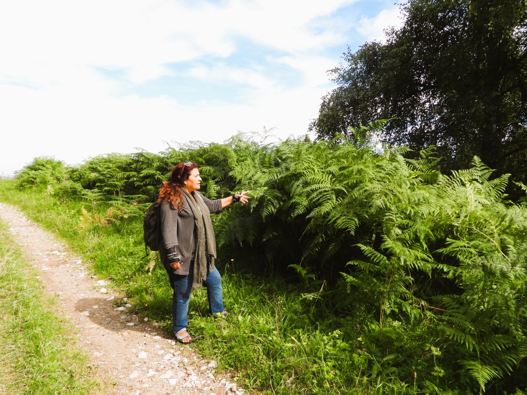 Eine Person steht auf einem Weg im Böhmerwald und zeigt auf die hohe grüne Vegetation, umgeben von Farnen und Bäumen unter einem klaren Himmel.