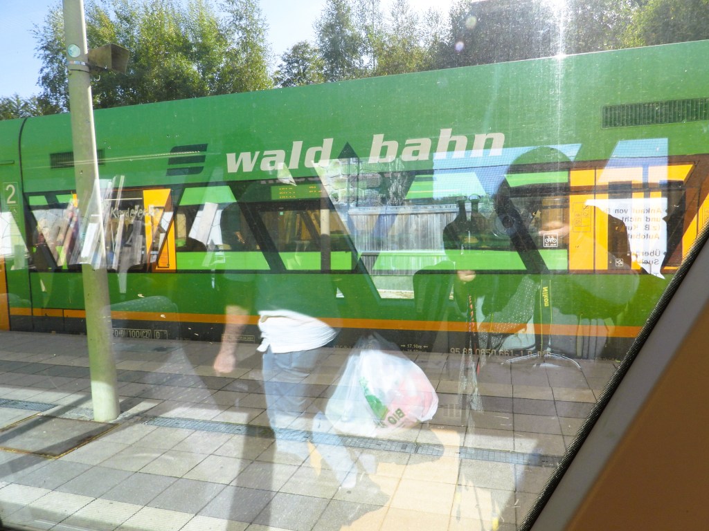 Ansicht eines grünen Zuges der Waldbahn, aufgenommen durch ein Fenster, mit Reflektionen von Passagieren und der Umgebung.