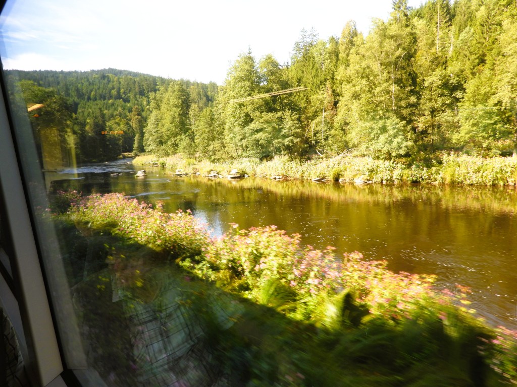 Blick aus dem Zugfenster auf den schwarzen Fluss und die umgebende Natur mit Bäumen und bunten Blumen entlang des Ufers.