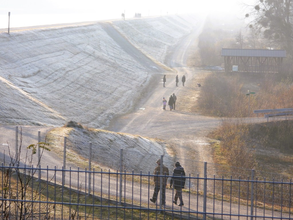Eine sanfte, neblige Morgenlandschaft im Europareservat Unterer Inn, mit Spaziergängern auf einem gepflasterten Weg und frostbedeckten Gräsern im Vordergrund. Im Hintergrund sind weitere Fußgänger und eine Überdachung zu sehen.