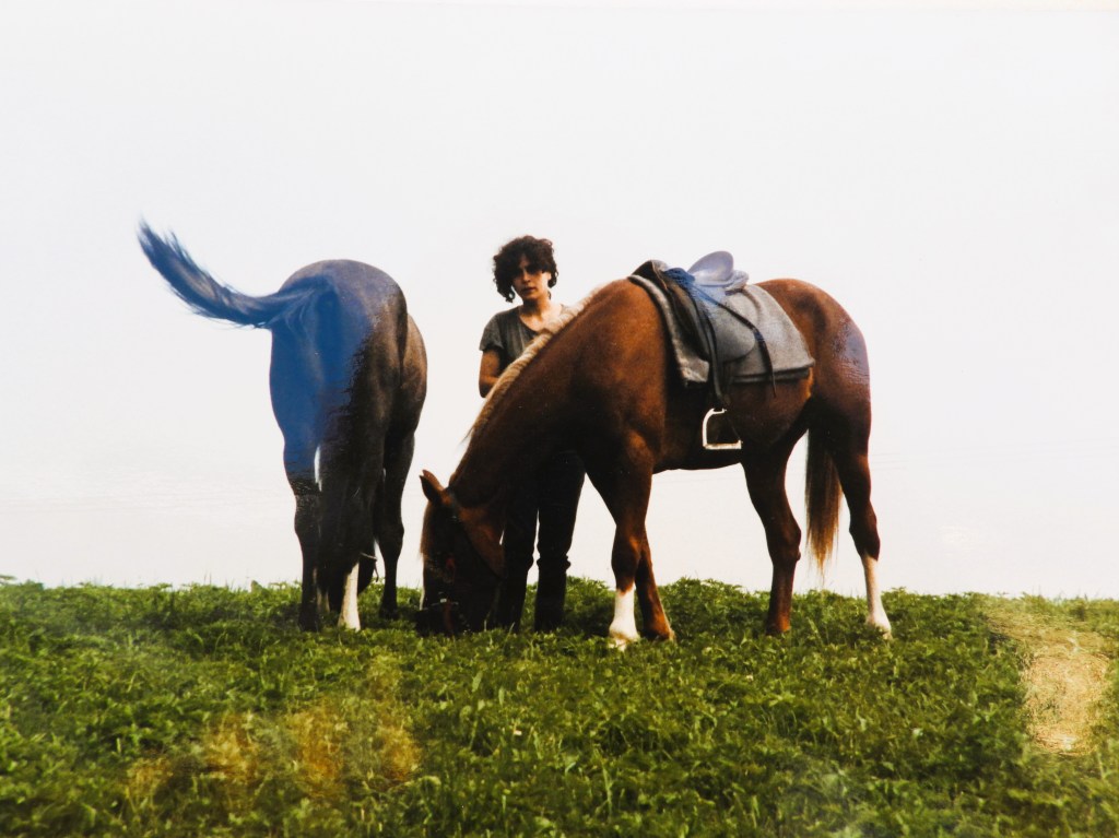 Eine Person steht mit zwei Pferden auf einer grünen Wiese. Eines der Pferde frisst Gras, während das andere zu sehen ist.