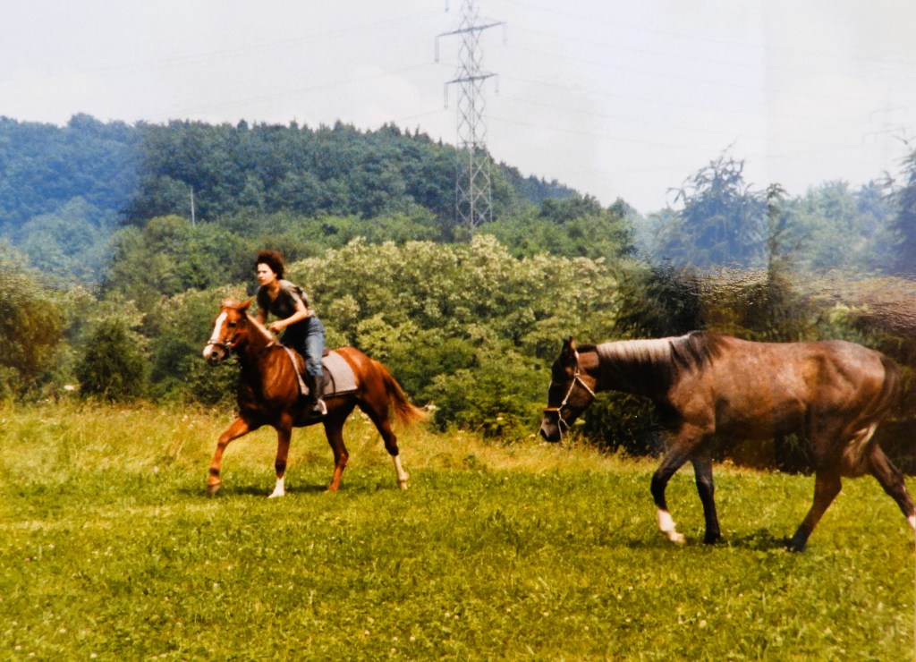 Eine Person reitet auf einem braunen Pferd in einer grünen Wiese, während ein graues Pferd danebenher läuft. Im Hintergrund sind Bäume und Strommasten zu sehen.
