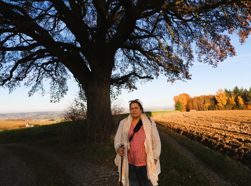 Eine Person steht vor einer alten Eiche auf einem Feldweg, umgeben von herbstlichen Bäumen und einer ländlichen Landschaft.