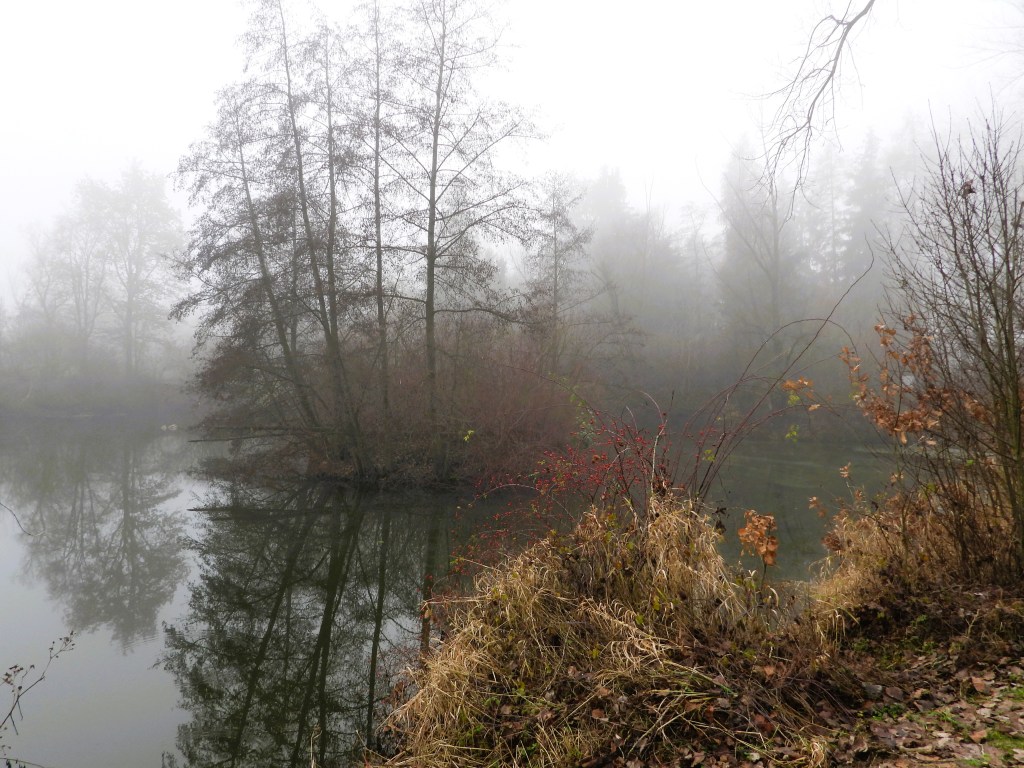 Nebelverhangene Landschaft mit einem stillen Gewässer und silhouettierten Bäumen am Ufer, umgeben von braunem, vertrocknetem Gras und roten Hagebutten.