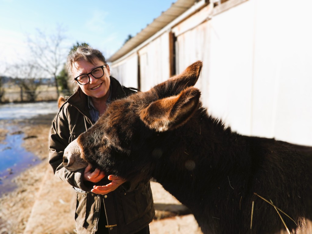 Eine Person lächelt und streichelt einen Esel in einem Stall im Freien.