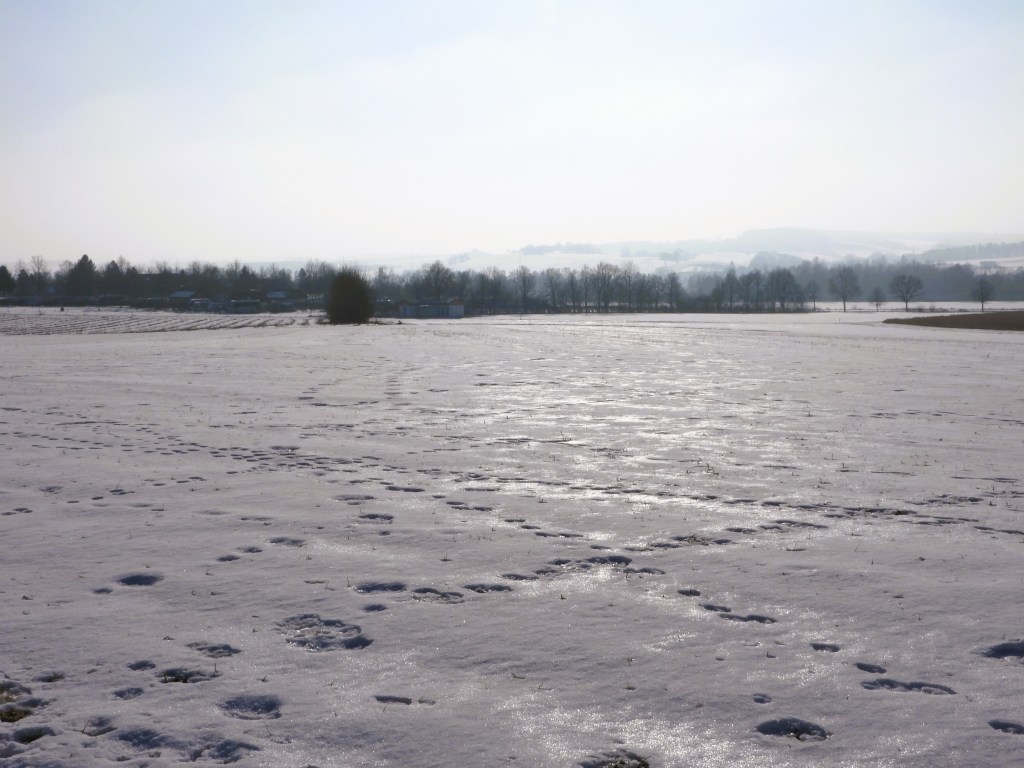 Weite, schneebedeckte Landschaft mit Fußspuren im Schnee und schemenhaften Bäumen im Hintergrund.
