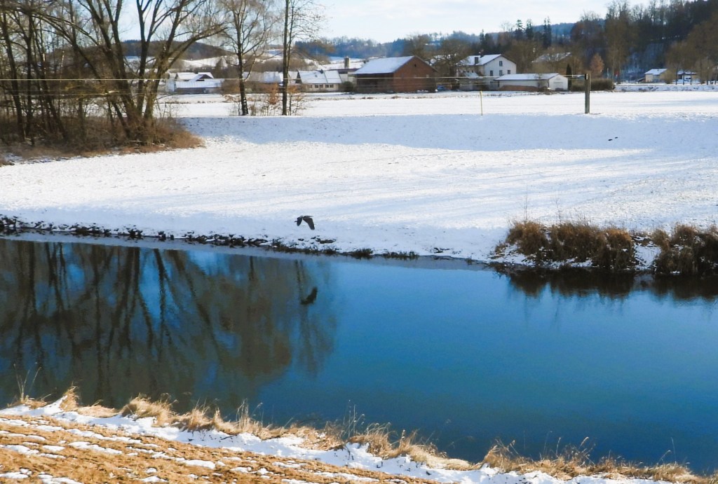 Eine winterliche Landschaft mit einem gefrorenen Fluss und schneebedeckten Feldern. Bäume umranden das Bild, während im Hintergrund einige Häuser sichtbar sind.