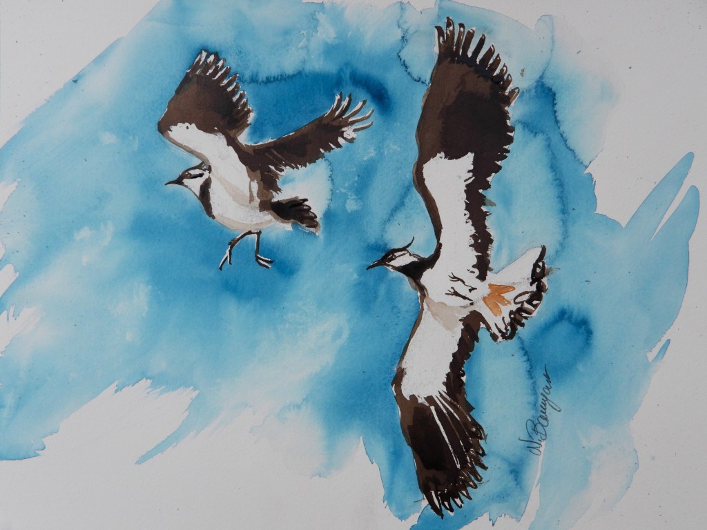 Aquarellzeichnung von zwei Vögeln, die in blauer Umgebung fliegen.