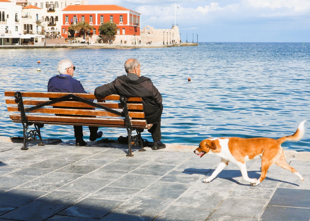Zwei ältere Männer sitzen auf einer Bank am Wasser, während ein Hund vorbeigeht.