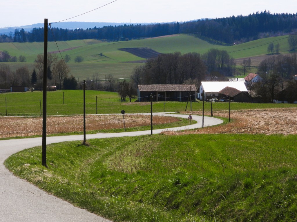 Landschaft mit einer kurvenreichen Straße, umgeben von grünen Feldern und einigen Gebäuden im Hintergrund.