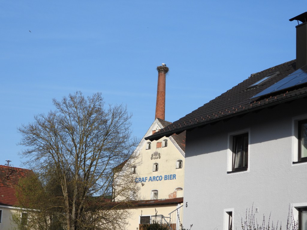 Blick auf ein Gebäude mit dem Schriftzug 'Graf Arco Bier' und einem Schornstein mit einem Nest, umgeben von Bäumen und anderen Häusern unter einem blauen Himmel.