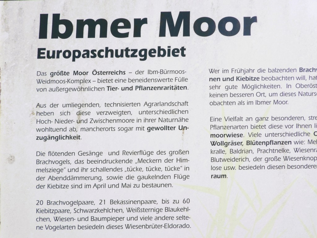 Informationstafel über das Ibmer Moor, ein bedeutendes Europaschutzgebiet in Österreich, das außergewöhnliche Tier- und Pflanzenarten beherbergt.