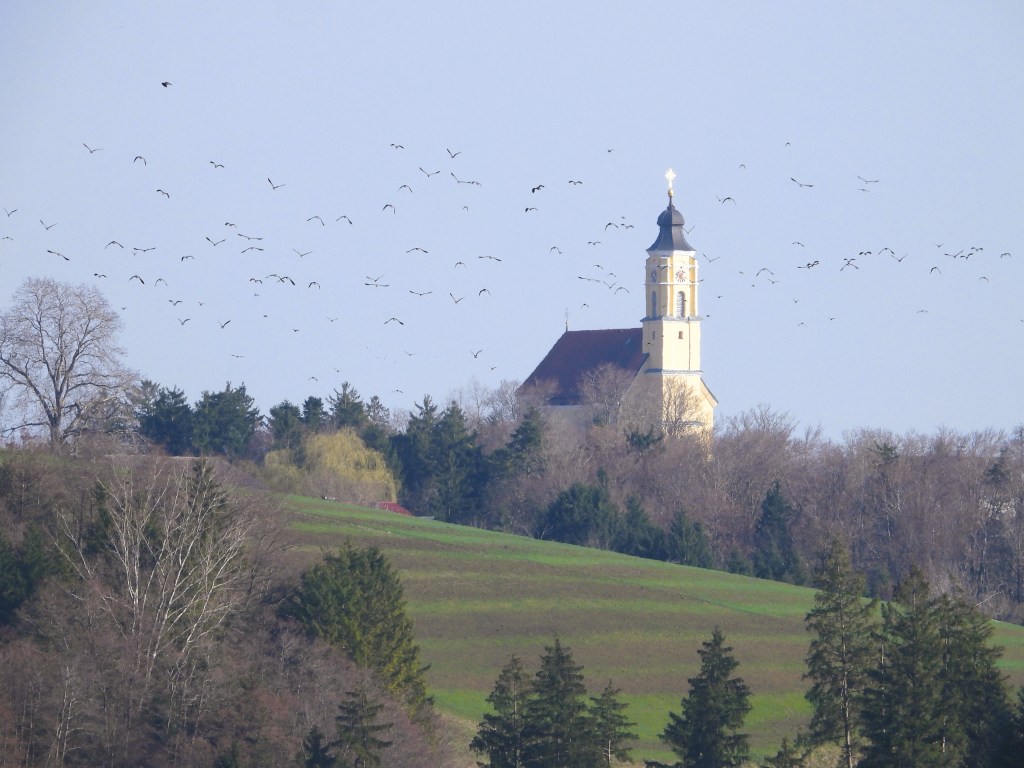Blick auf eine Kirche auf einem Hügel, umgeben von Bäumen und Feldern, mit vielen Vögeln, die darüber fliegen.