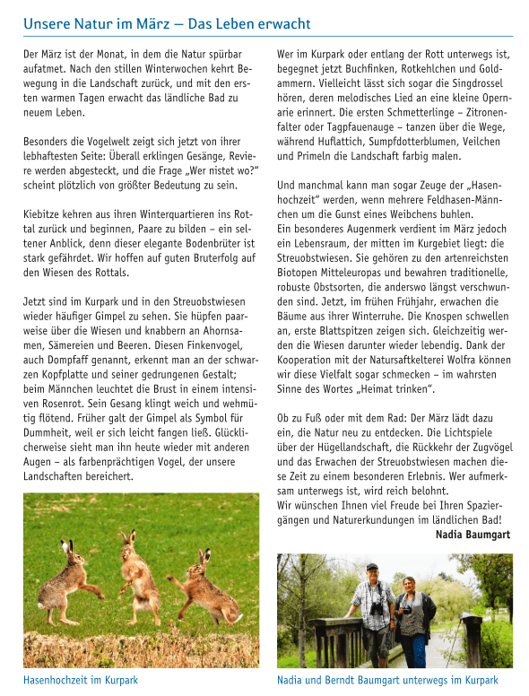 Zwei Hasen während der Paarungszeit in Kurpark, umgeben von grünem Gras.