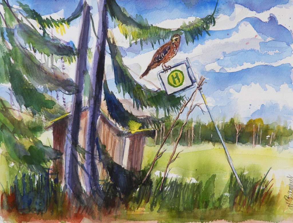 Aquarellmalerei eines Buswarteplatzes mit einem Vogel auf einem Schild. Im Hintergrund sind Bäume und eine Wiese zu sehen.