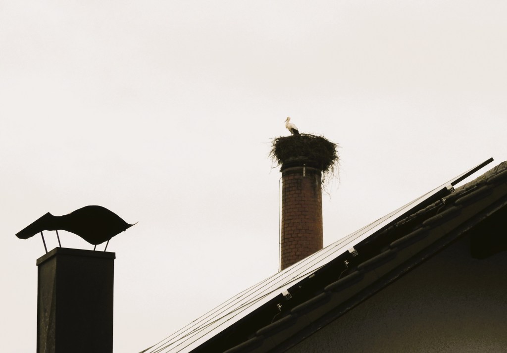 Eine Silhouette eines Vogels auf einem Schornstein mit einem Storch, der in einem Nest auf dem anderen Schornstein sitzt, vor einem grauen Himmel.