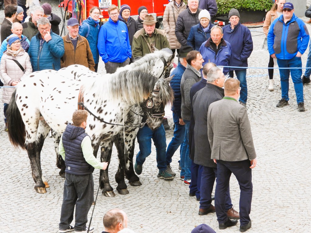 Eine Gruppe von Menschen versammelt sich um zwei gescheckte Pferde auf einem Platz, während einige Zuschauer lächeln und diskutieren.