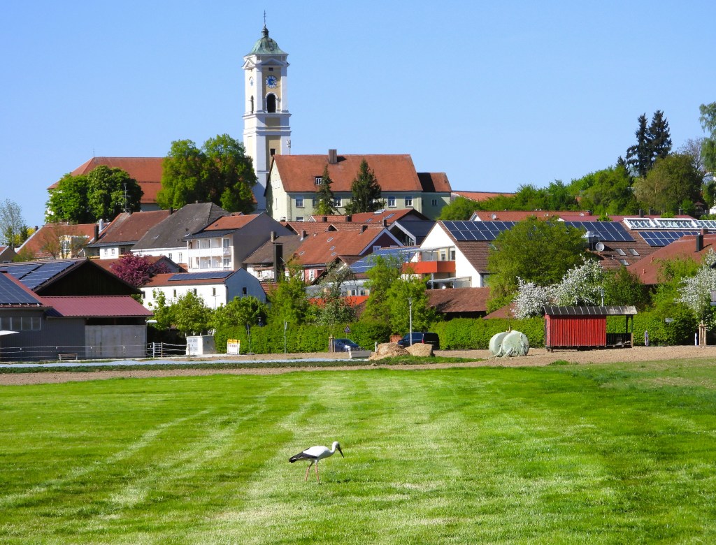 Eine Wiese mit einem Storch im Vordergrund und einem schönen, ländlichen Dorf im Hintergrund, das von Bäumen und Häusern mit Solaranlagen umgeben ist. Im Hintergrund ist ein Kirchturm sichtbar.
