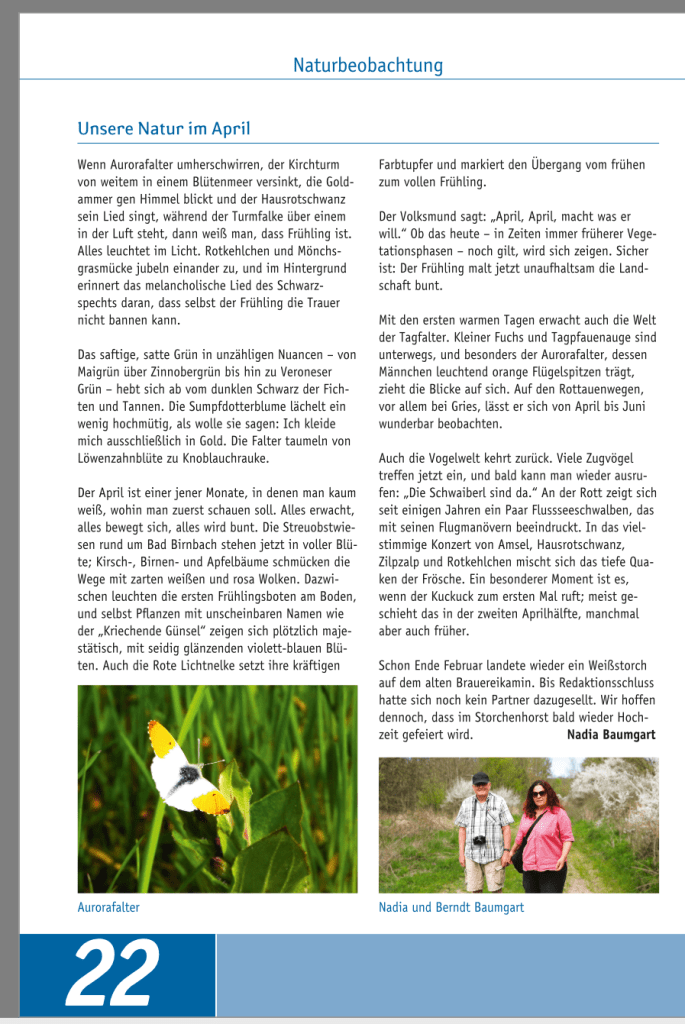 Ein Bildelement zeigt einen Aurorafalter auf grünem Gras.