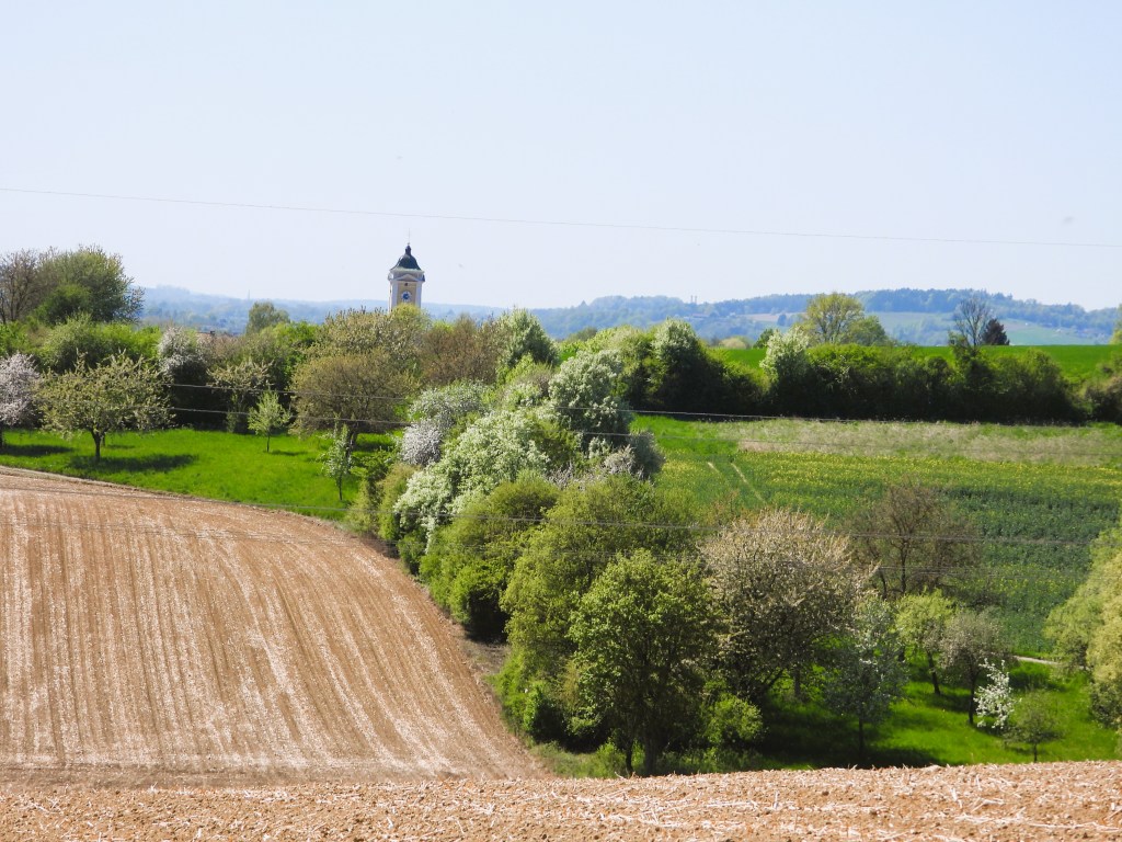 Landschaft mit einem Feld im Vordergrund, umgeben von Bäumen und bunten Blumen, im Hintergrund ist ein Kirchturm zu sehen.