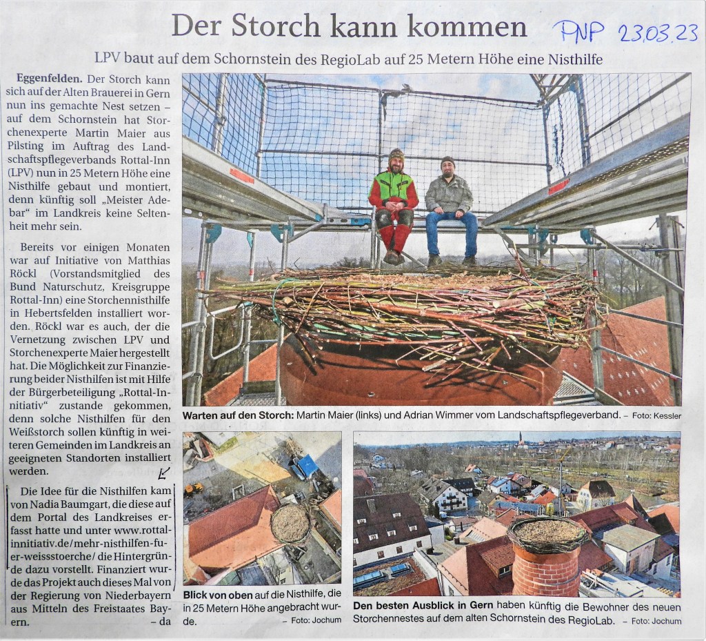 Artikel über den Bau eines Storchennests auf dem Schornstein des RegioLab in Gern, mit Fotos von Martin Maier und Adrian Wimmer, die auf der Baustelle sitzen.