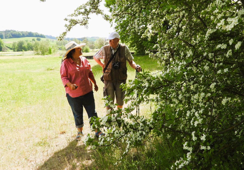 Zwei Personen spazieren in einer blühenden Landschaft. Die Frau trägt ein rotes Hemd und einen Sonnenhut, während der Mann eine Kamera hat und einen Stock hält. Ein blühender Baum ist im Hintergrund sichtbar.