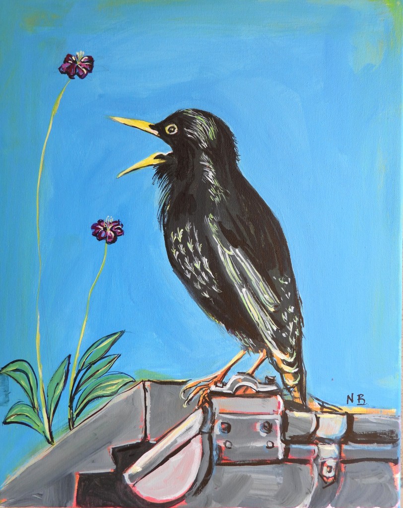 Ein schwarzer Vogel mit gelbem Schnabel sitzt auf einem grauen Gegenstand. Im Hintergrund sind zwei lila Blumen und ein blauer Himmel zu sehen.