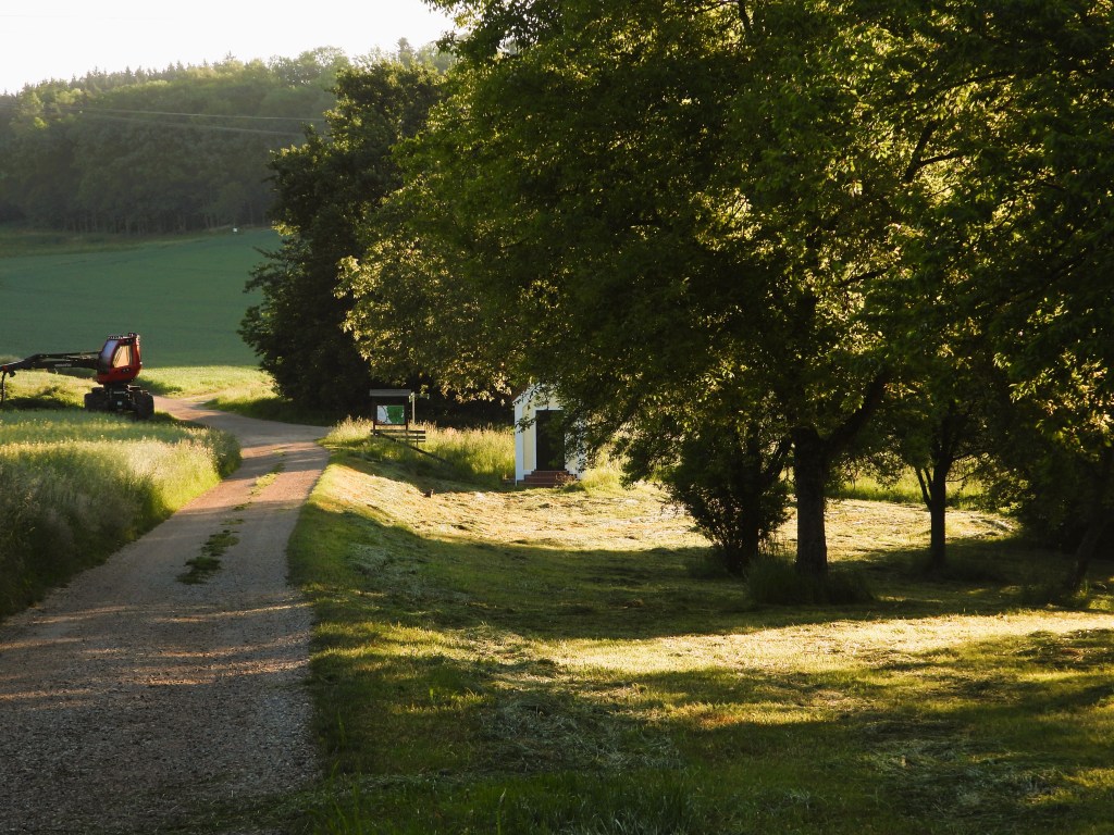 Landschaft mit einem Feldweg, umgeben von Bäumen und Wiesen, im Hintergrund eine grüne Wiese und eine landwirtschaftliche Maschine.