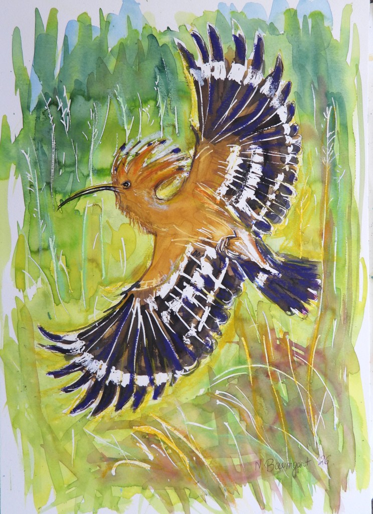 Ein geflügelter Wiedehopf, der in einem lebhaften Aquarellstil mit gelbgrünen Hintergründen dargestellt ist.