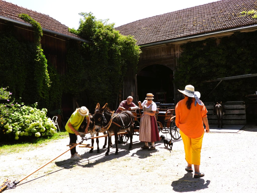 Eine Gruppe von Menschen arbeitet auf einem Bauernhof, während zwei Esel bereitgestellt werden. Ein Holzgebäude im Hintergrund ist teilweise mit Grün bewachsen. Einige Personen tragen traditionelle Kleidung. Im Vordergrund ist ein kleiner Hund zu sehen.