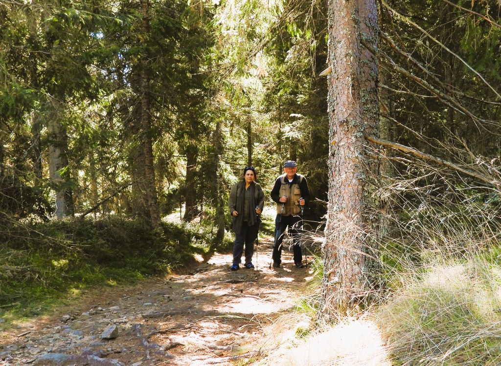 Zwei Personen wandern auf einem schmalen Pfad durch einen bewaldeten Bereich mit hohen Bäumen.