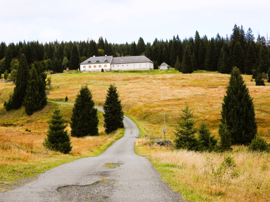 Ein Kiesweg führt zu einem Gebäude in einer ländlichen Umgebung, umgeben von grünen Wäldern und trockenem Grasland.