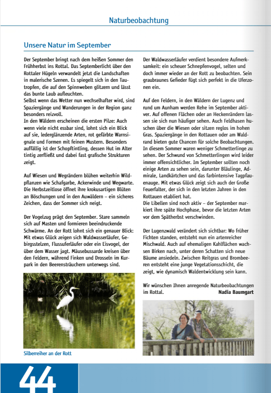 Ein Silberreiher steht an einem Gewässer in der Region Rottal, umgeben von grüner Vegetation und Bäumen.