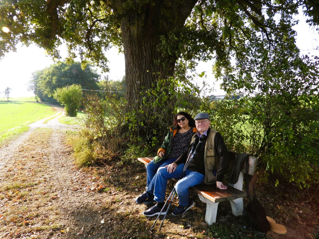 Zwei Personen sitzen auf einer Bank unter einem großen Baum, umgeben von einem grünen Feld und einem Wanderweg.